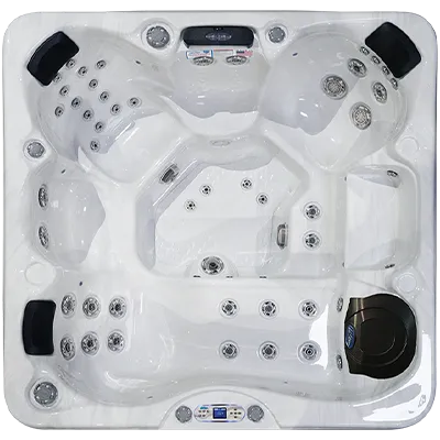 Avalon EC-849L hot tubs for sale in Nicholasville