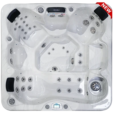 Avalon-X EC-849LX hot tubs for sale in Nicholasville